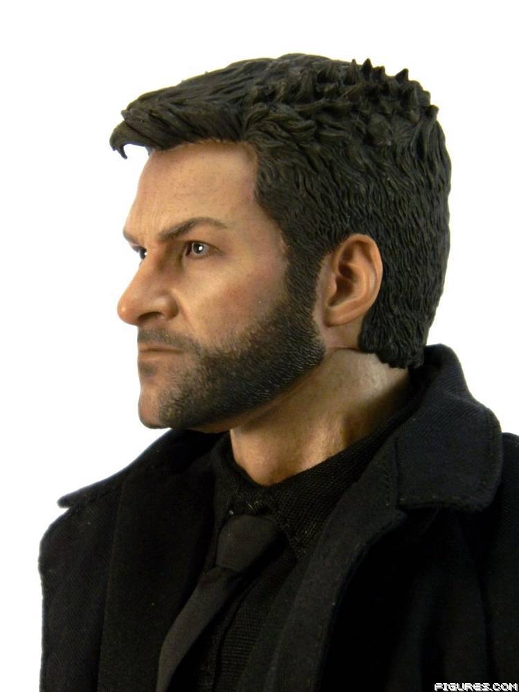 Wolverine