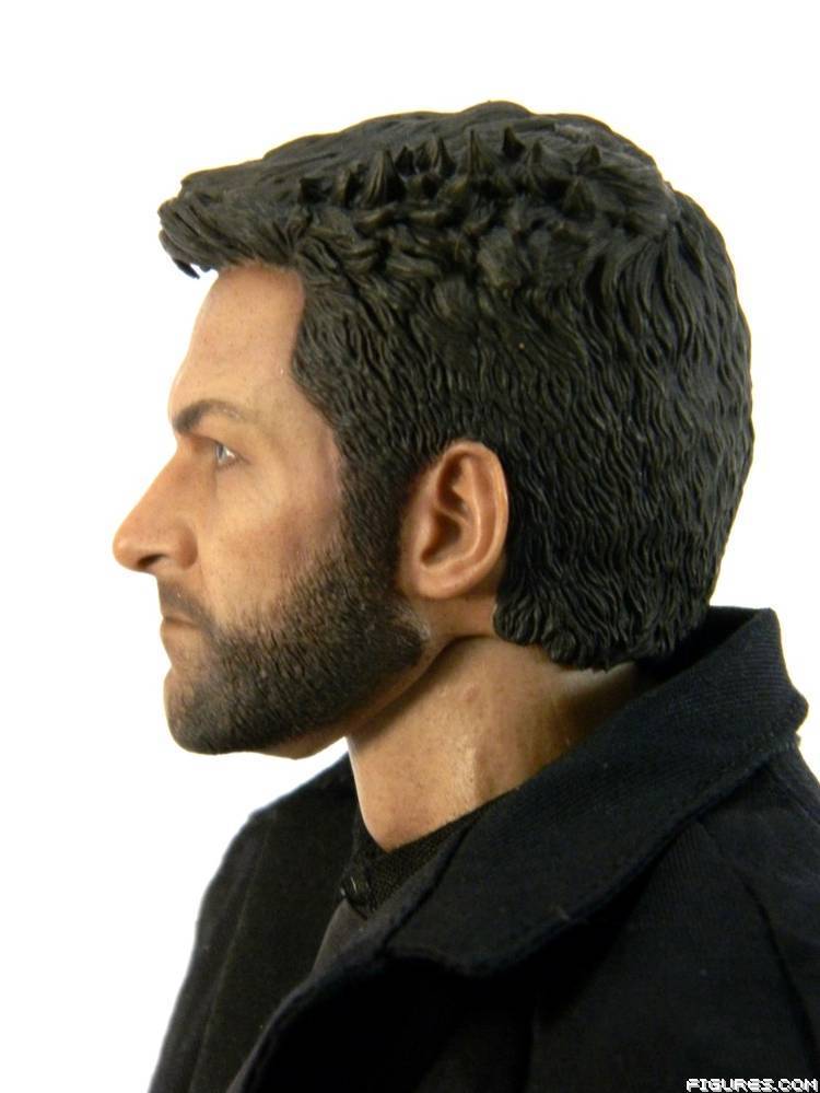 Wolverine