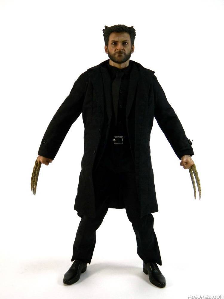 Wolverine
