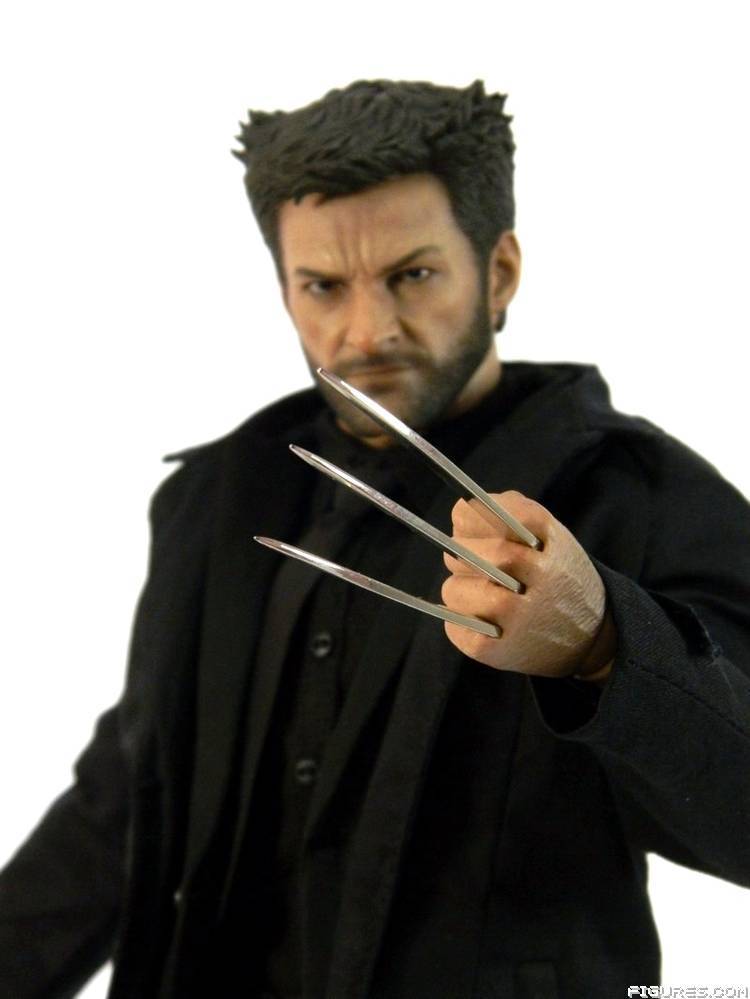 Wolverine
