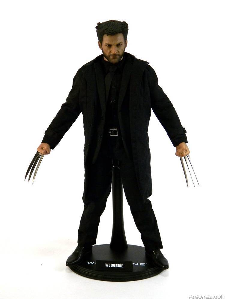 Wolverine