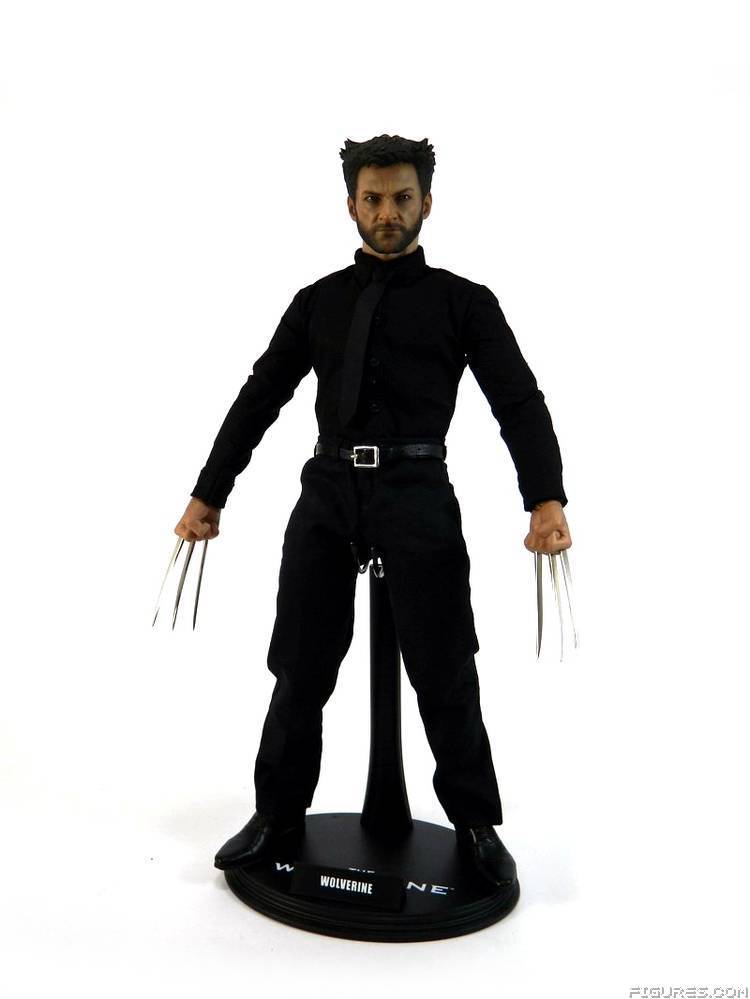 Wolverine