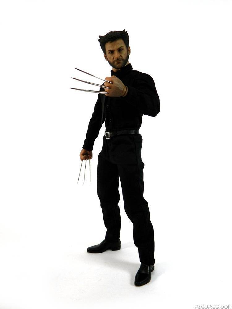 Wolverine