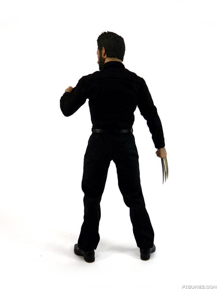 Wolverine