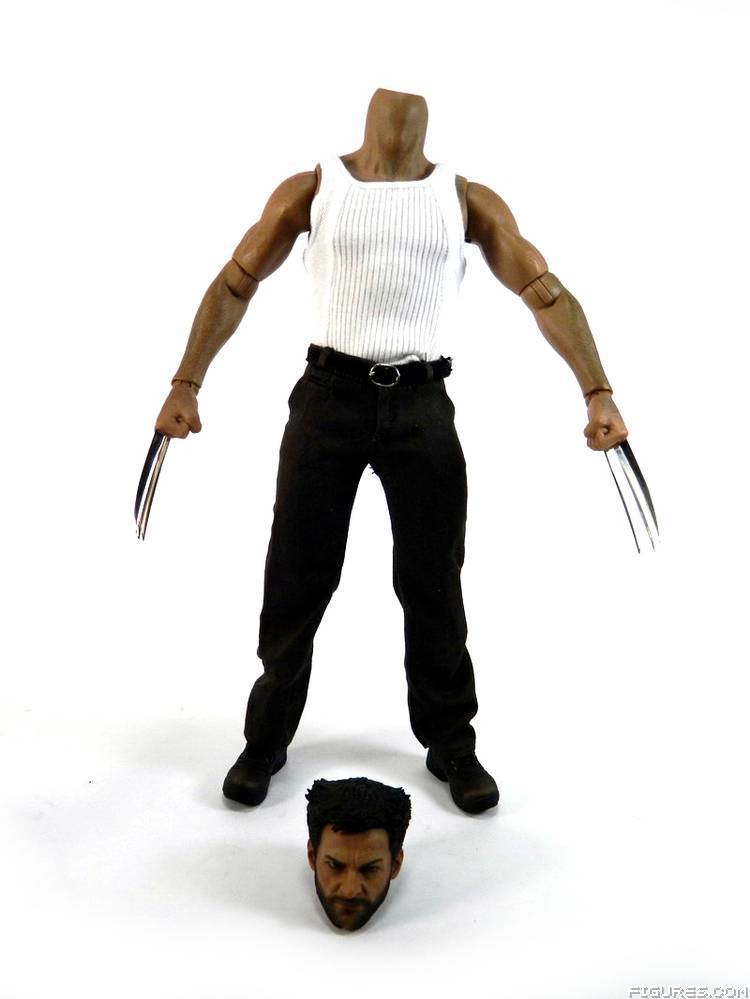 Wolverine