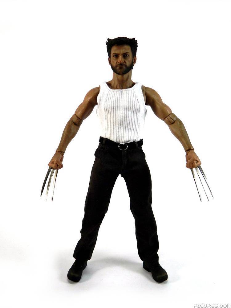 Wolverine