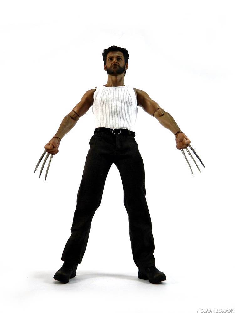 Wolverine