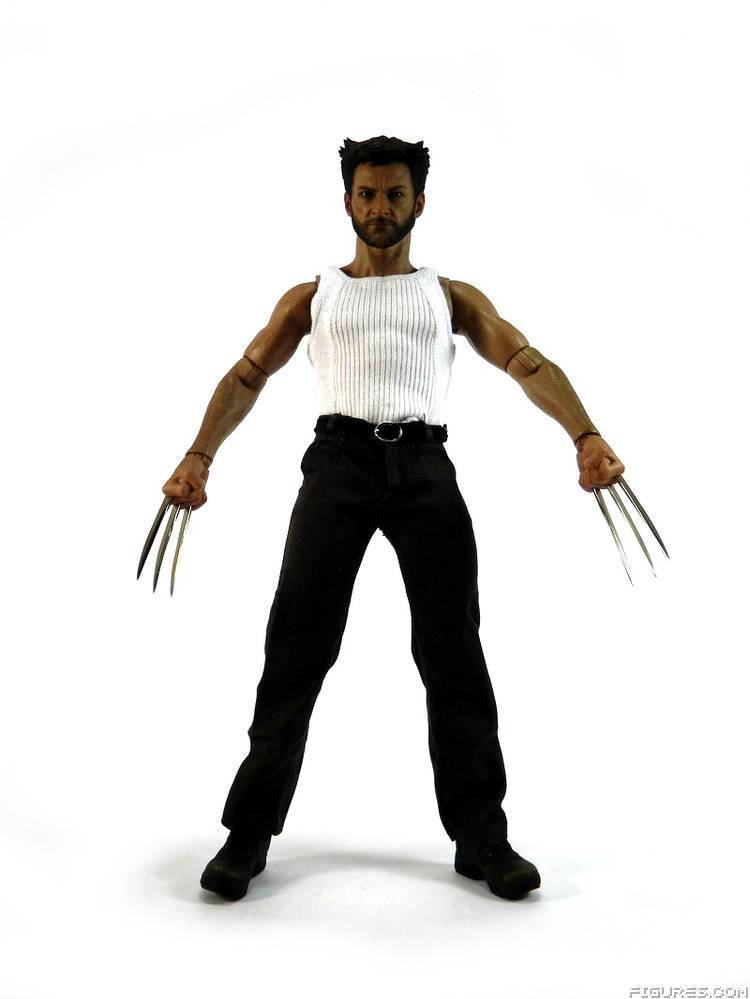 Wolverine