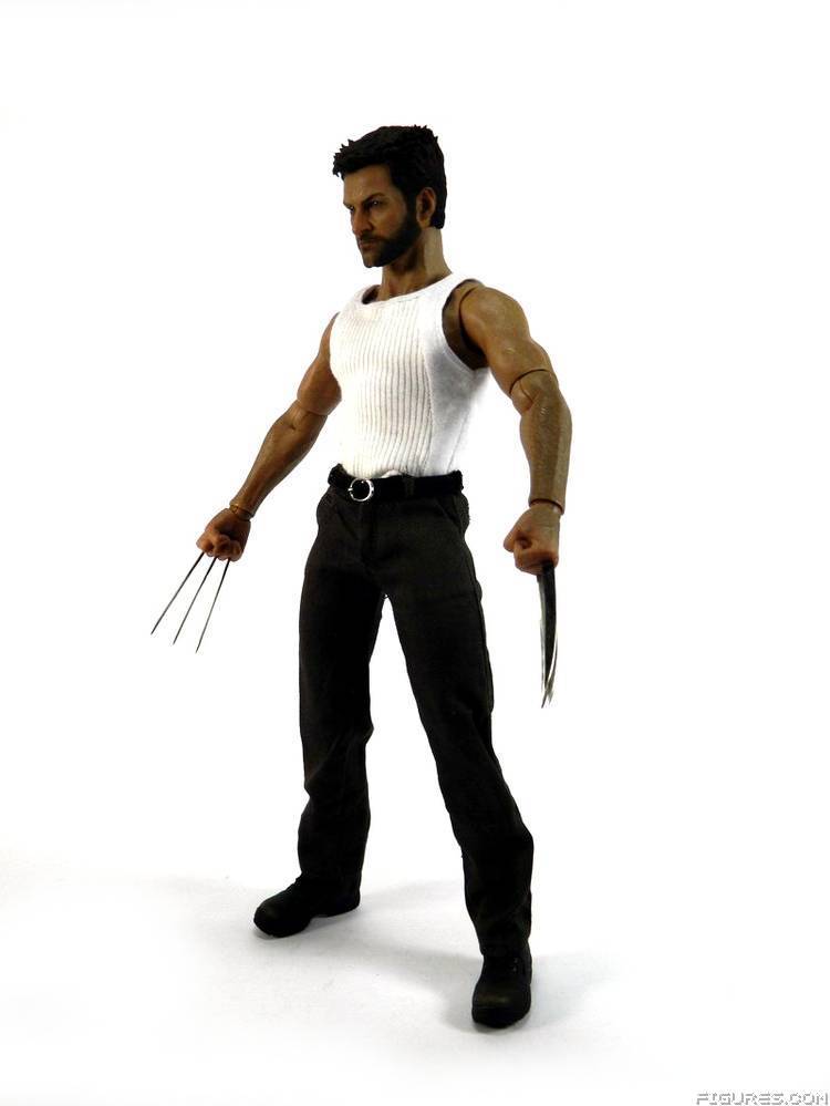 Wolverine