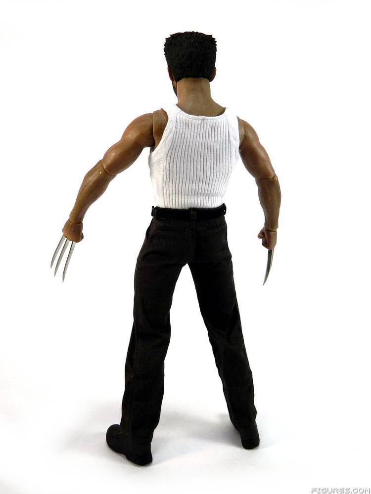 Wolverine