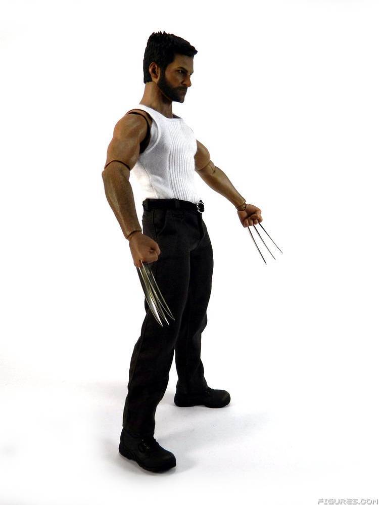 Wolverine