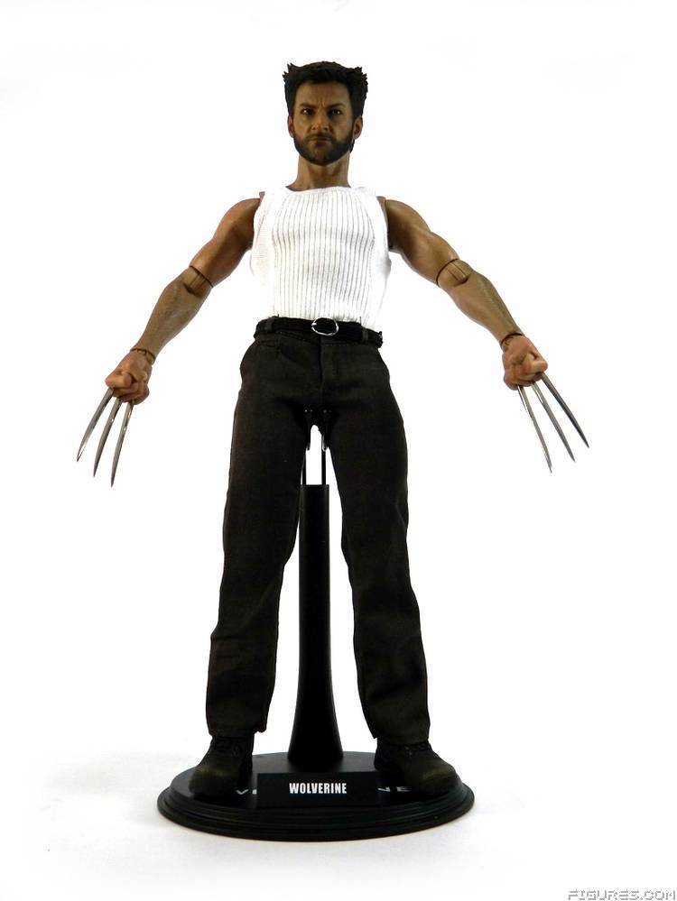 Wolverine