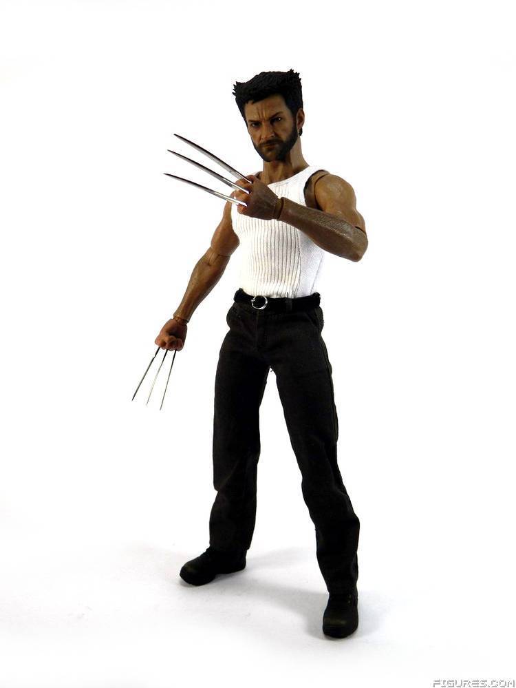 Wolverine