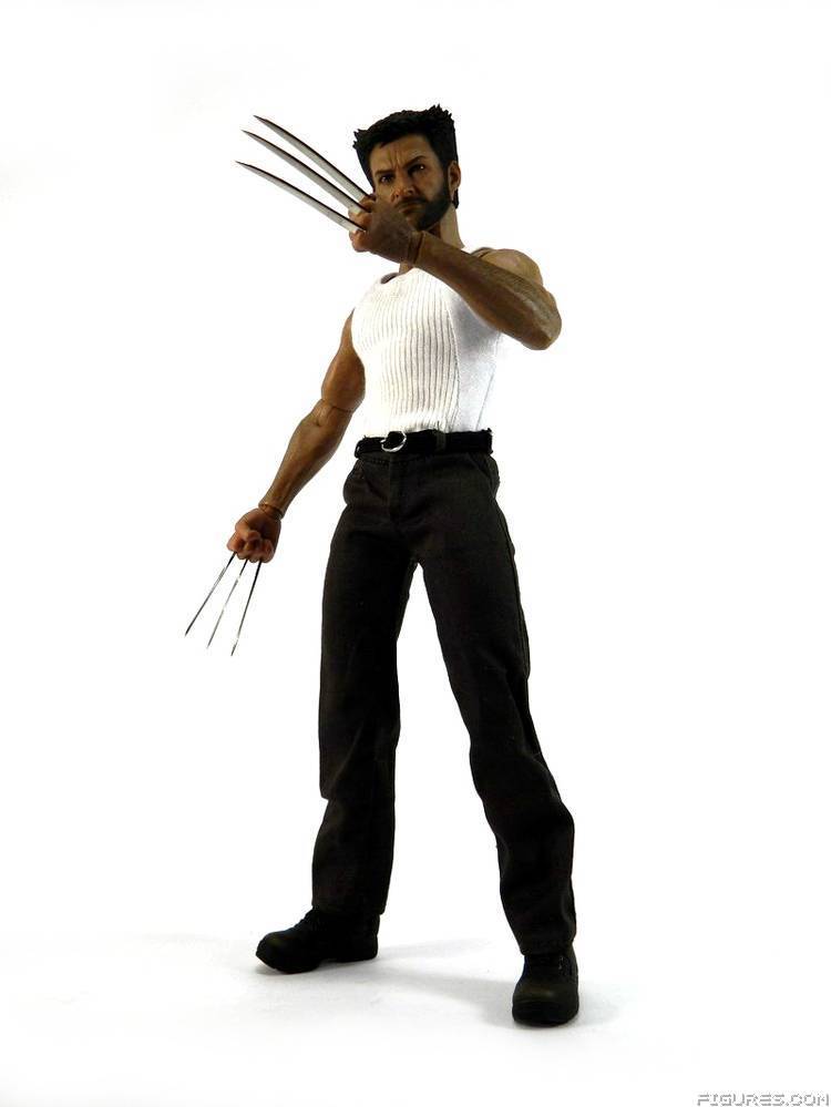 Wolverine