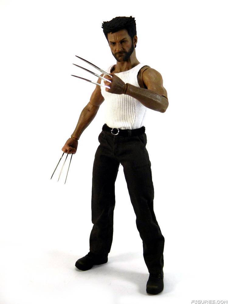 Wolverine