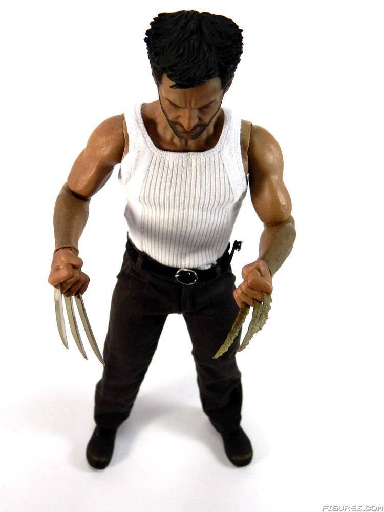 Wolverine