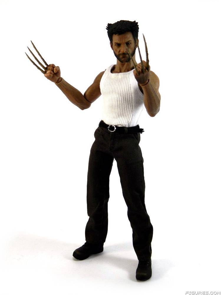 Wolverine