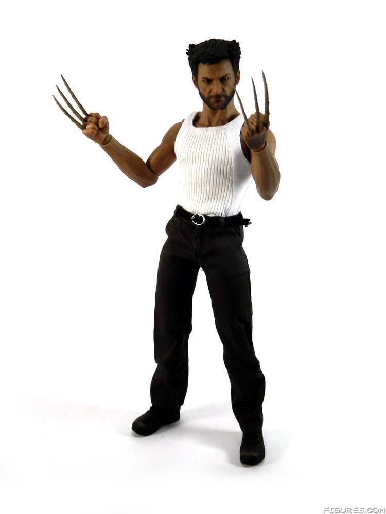Wolverine