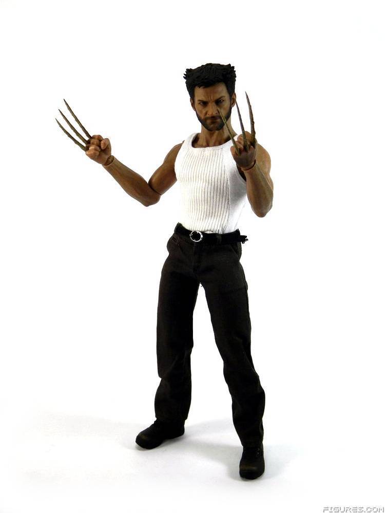 Wolverine