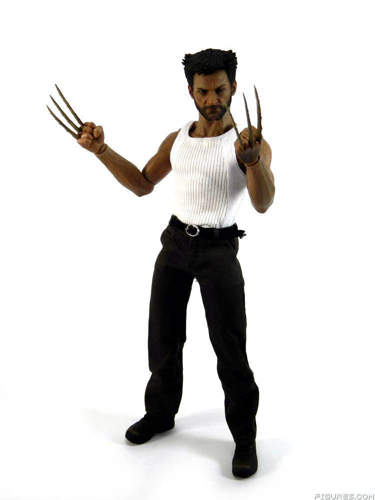 Wolverine