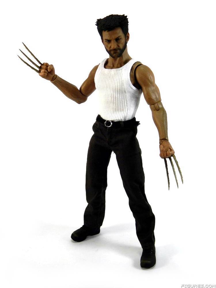 Wolverine