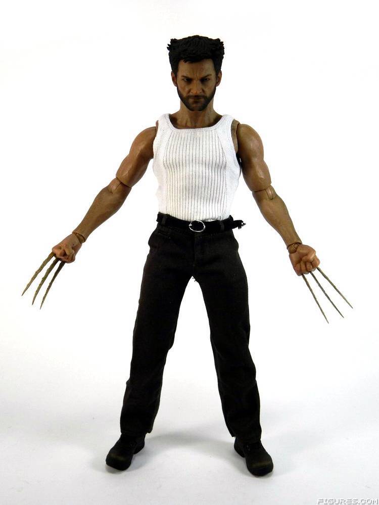 Wolverine