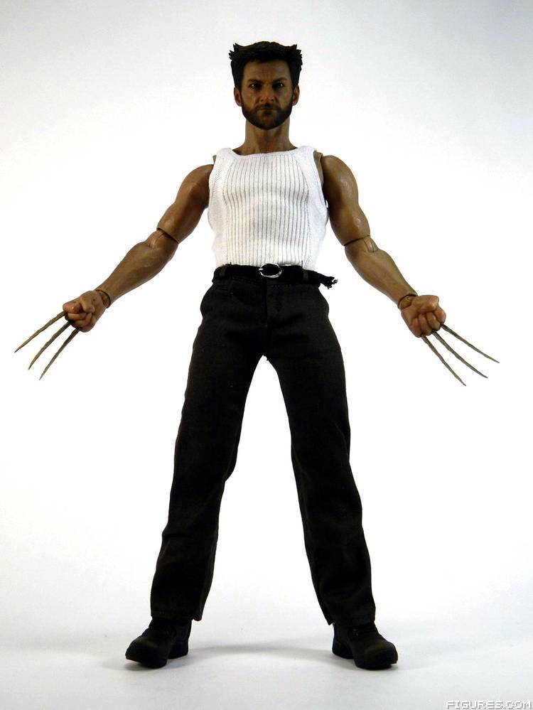 Wolverine