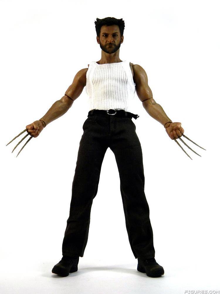 Wolverine