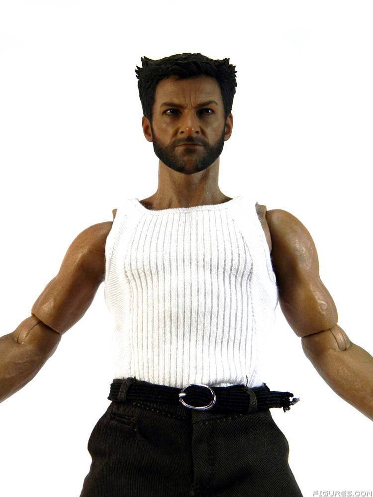 Wolverine