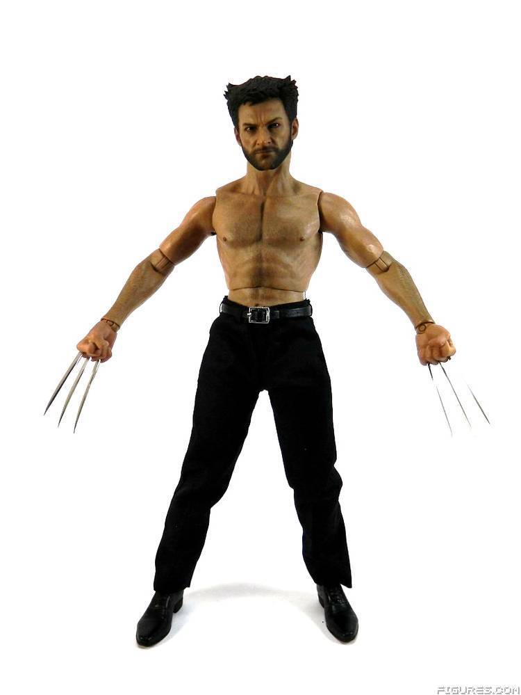 Wolverine