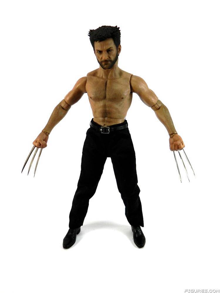 Wolverine