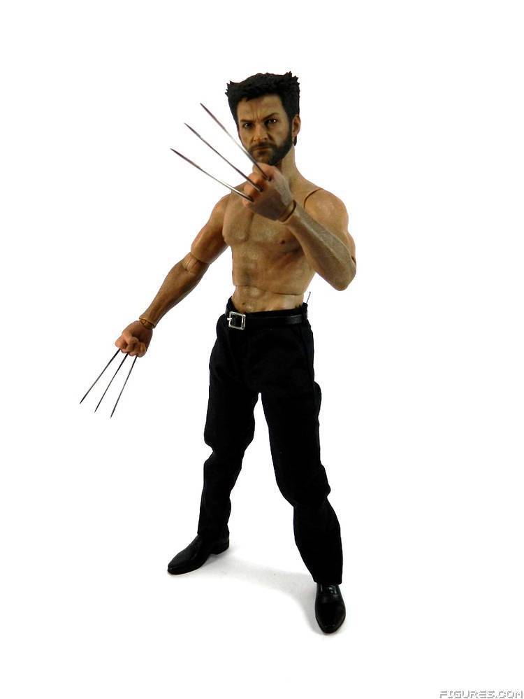 Wolverine