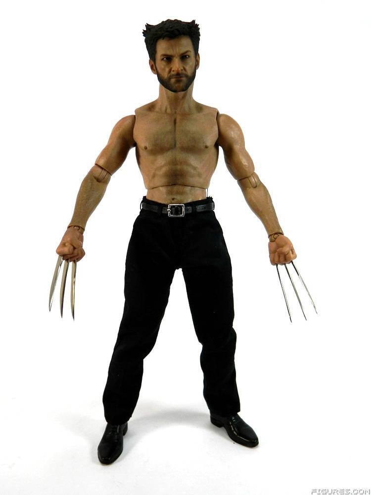 Wolverine