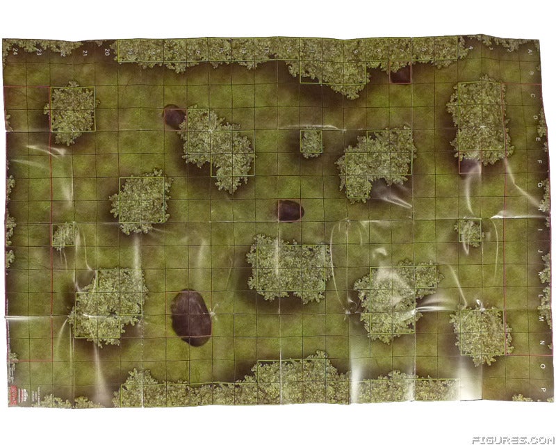 Starter_Map_-_Duelist_Kingdom_Forest
