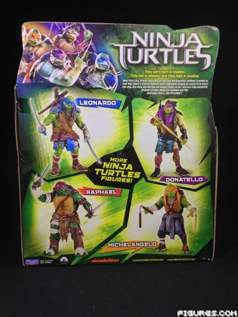 1jTMNT13