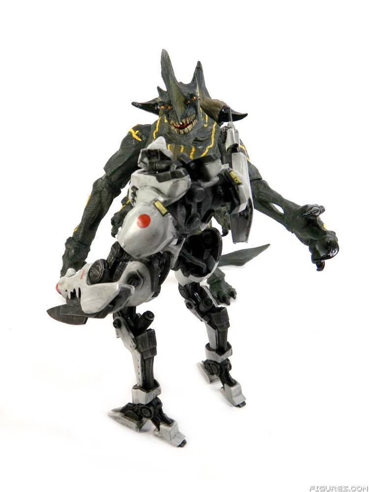 Pacific Rim