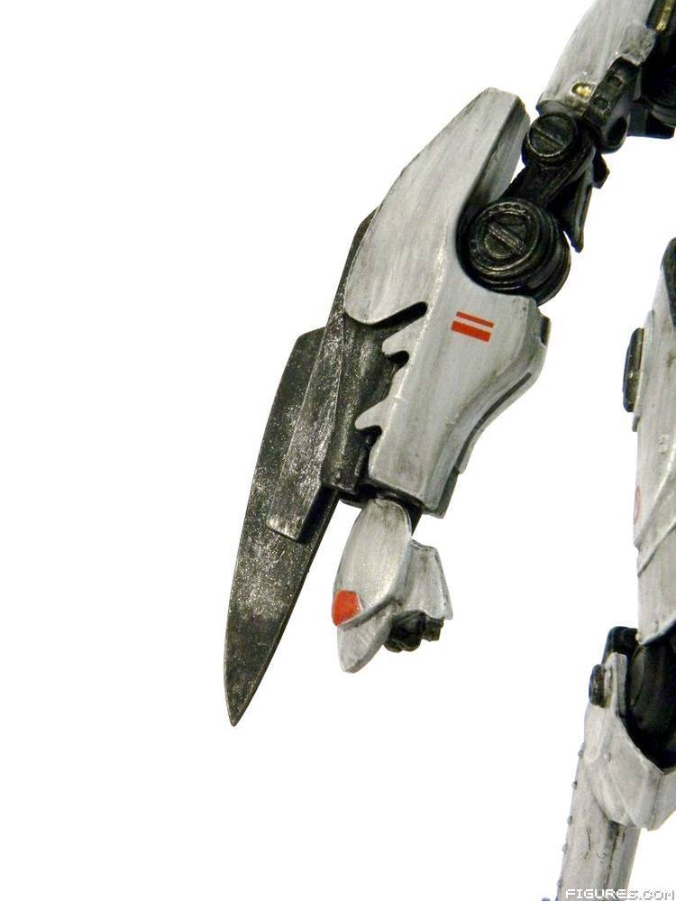 Tacit Ronin