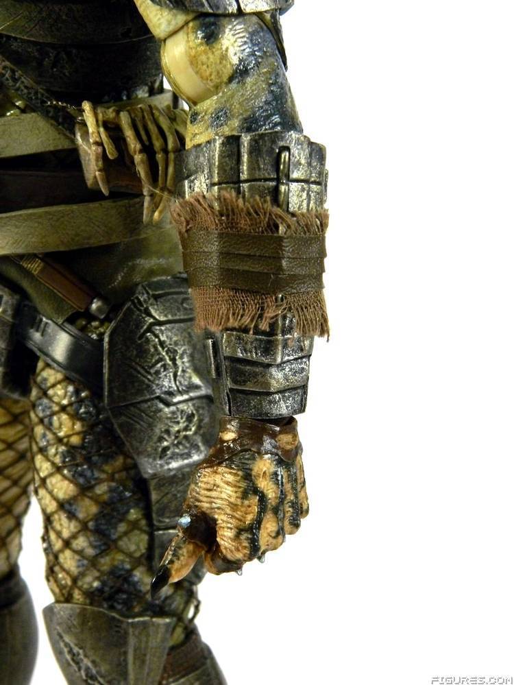 Elder Predator
