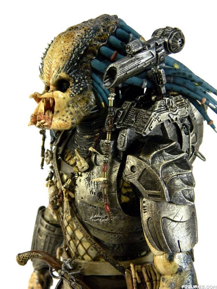 Elder Predator