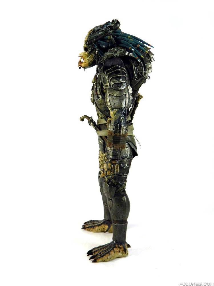 Elder Predator