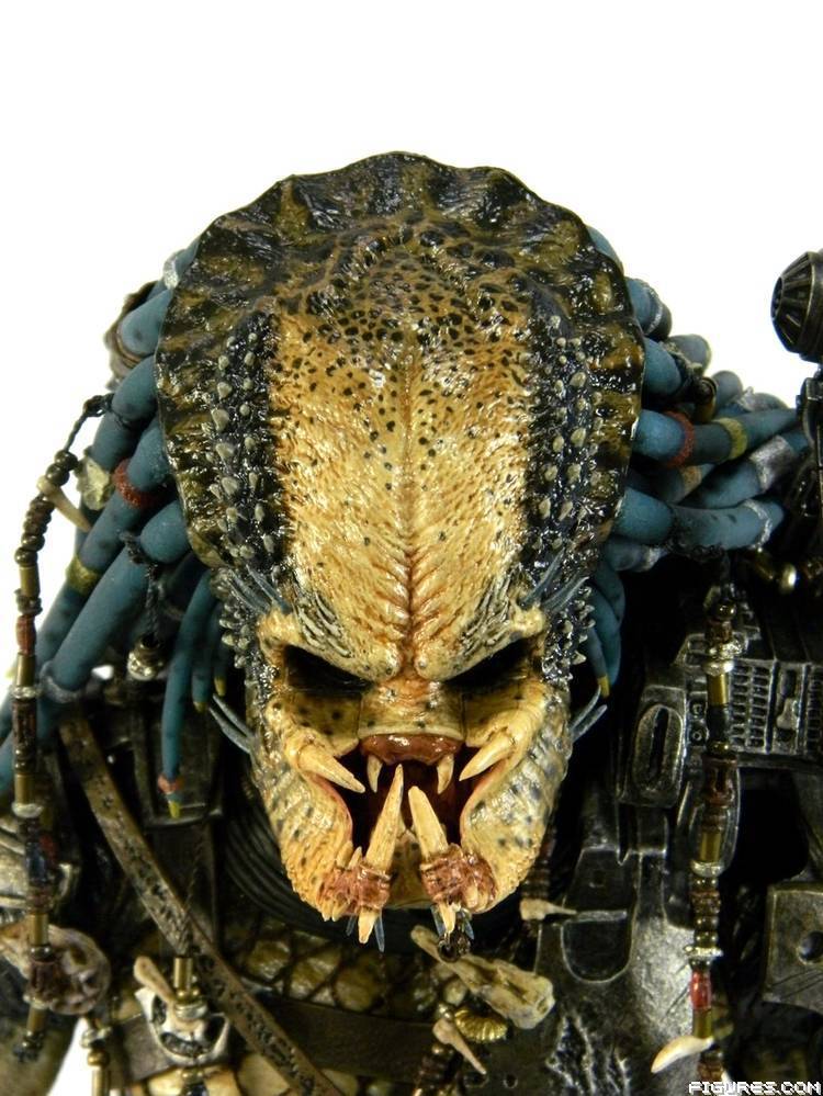Elder Predator