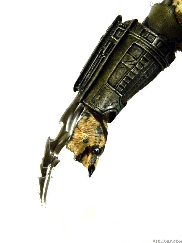 Elder Predator