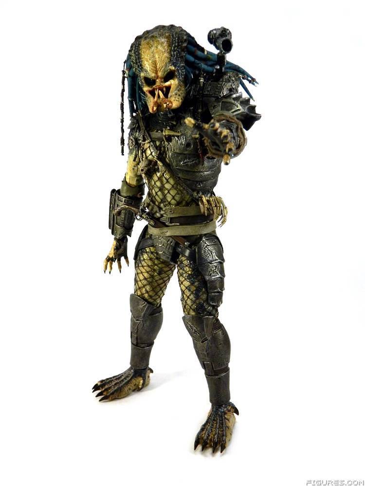Elder Predator