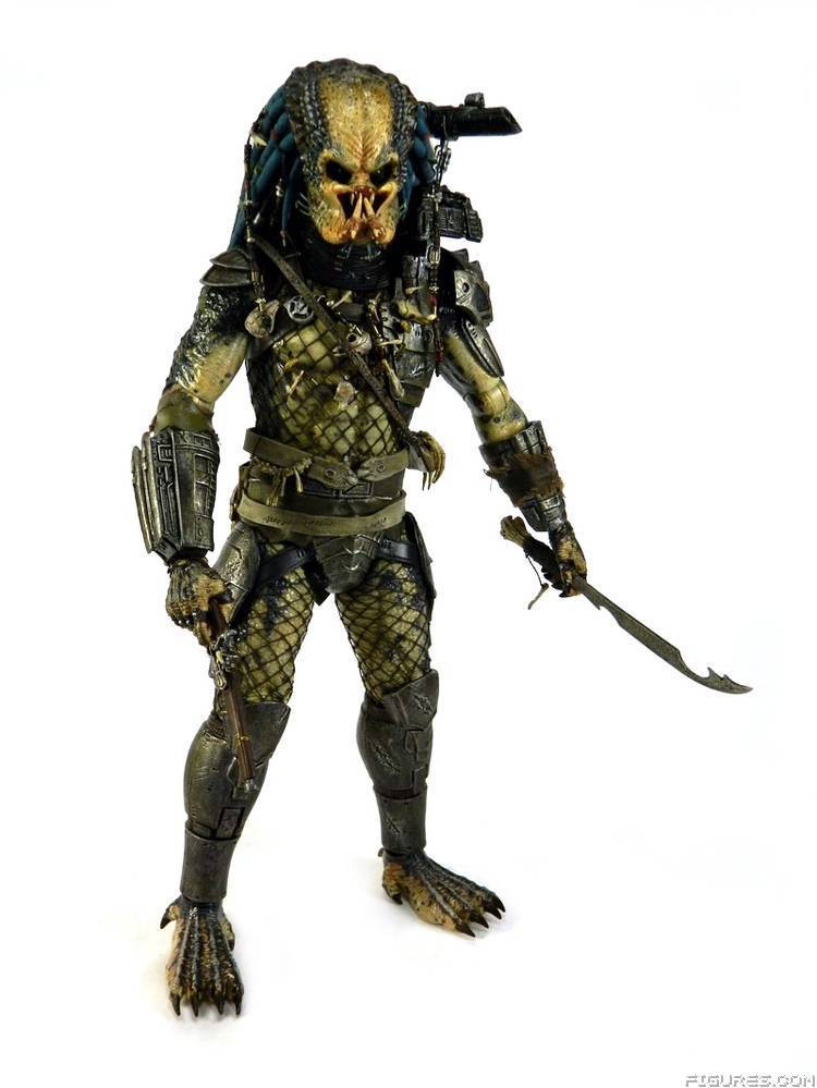 Elder Predator