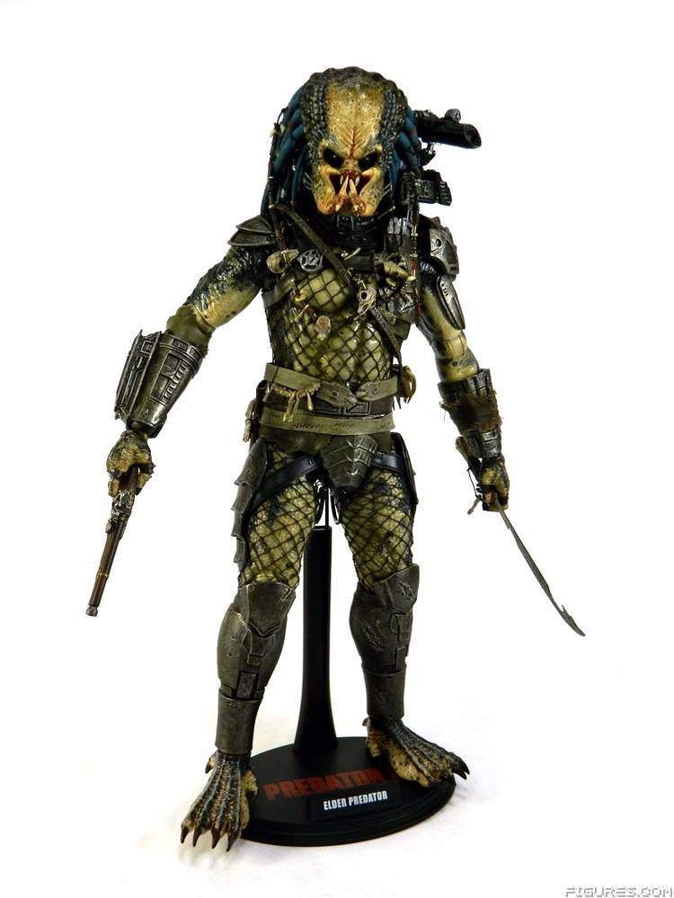 Elder Predator