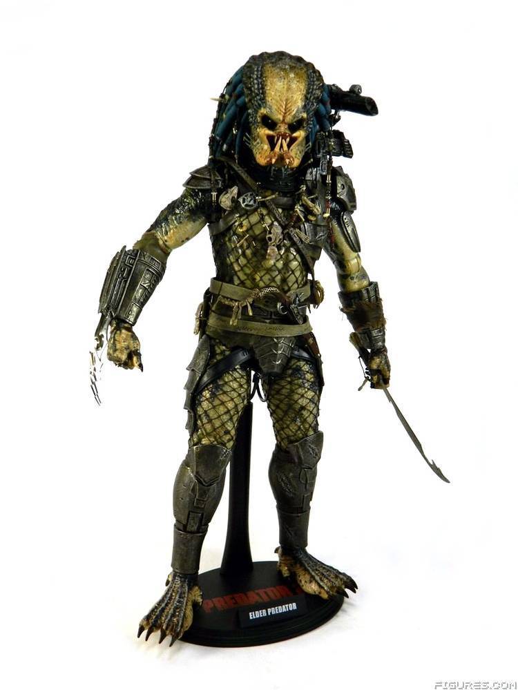 Elder Predator