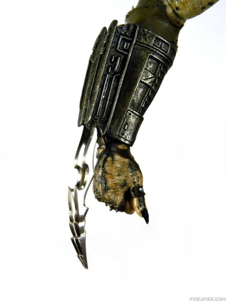 Elder Predator