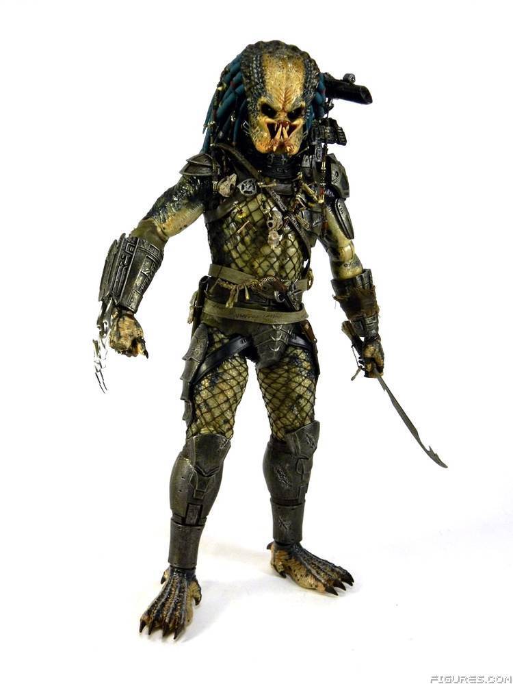 Elder Predator