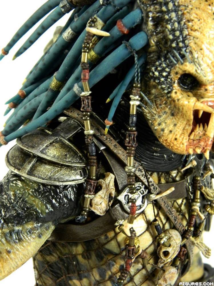 Elder Predator