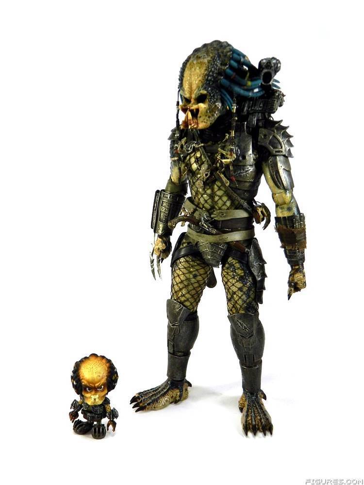 Elder Predator